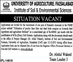 Research Associate Job in University of Agriculture Faisalabad 30 Nov 2015