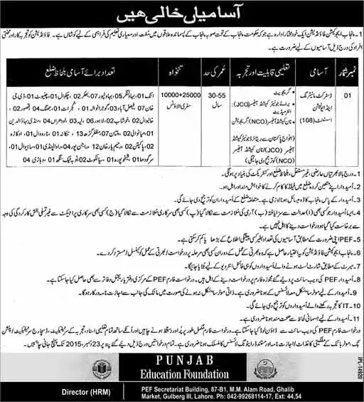 District Monitering & Assistant jobs in Punjab Education Foundation