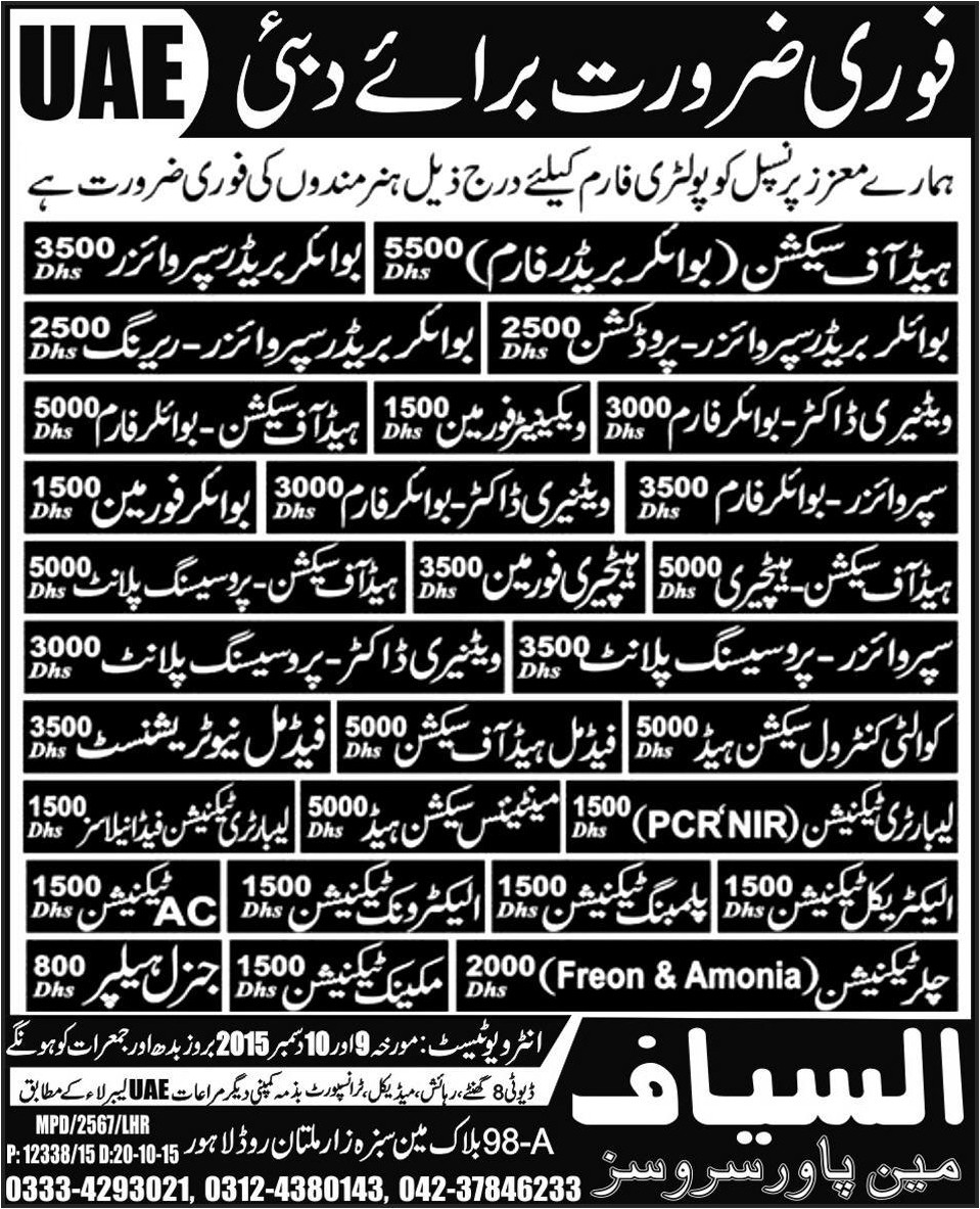Head Section Boiler & Helper Jobs in UAE