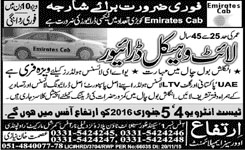Light Vehicle Driver Jobs in Sharjah
