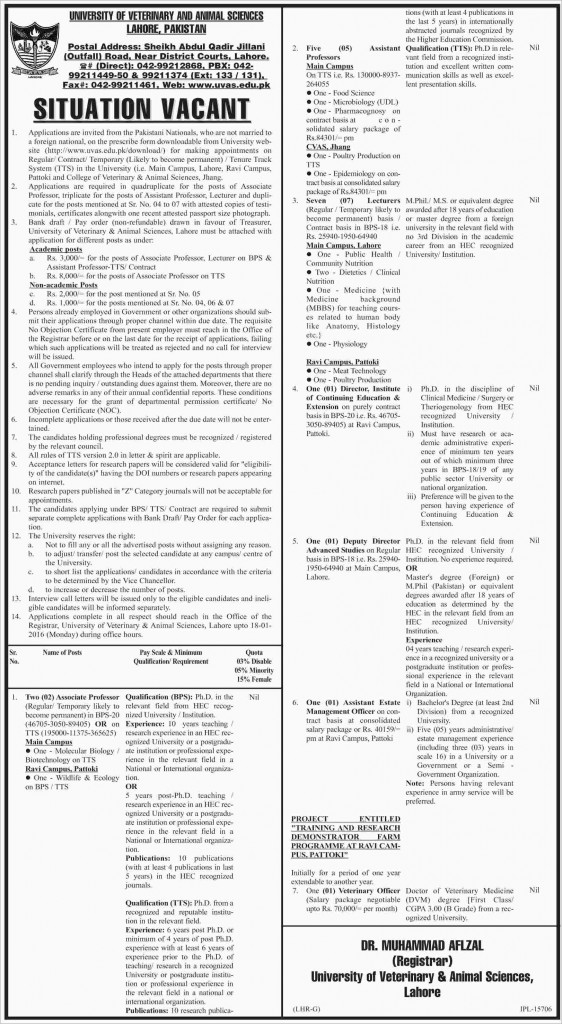 Professor Jobs in University of Veterinary and Animal Sciences Lahore
