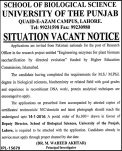 Research Officer Jobs in Pakistani Nationals