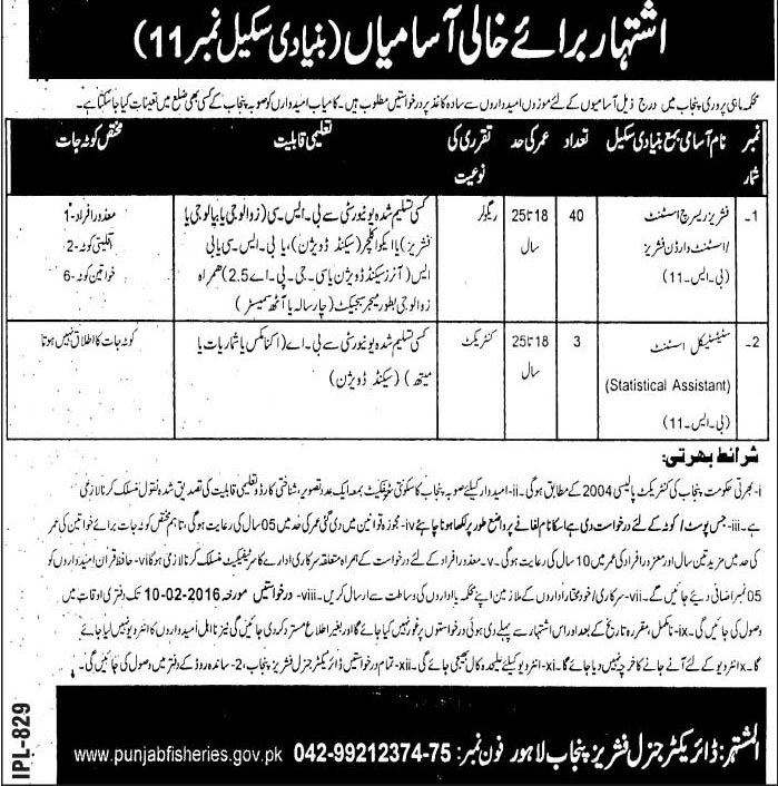 Assistant Jobs in Department of Fishing Punjab