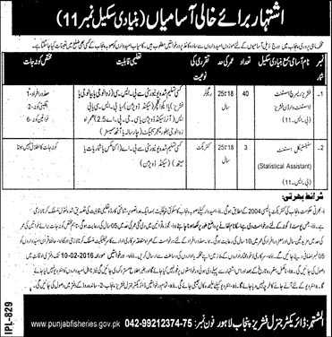 Assistant Jobs in Department of Fishing Punjab