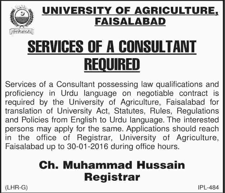 Consultant Jobs in University of Agriculture Faisalabad