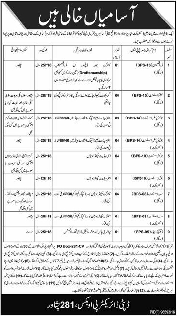 Draftsman Senior Assistant Junior Personal Assistant Jobs in Deputy Director Peshawar