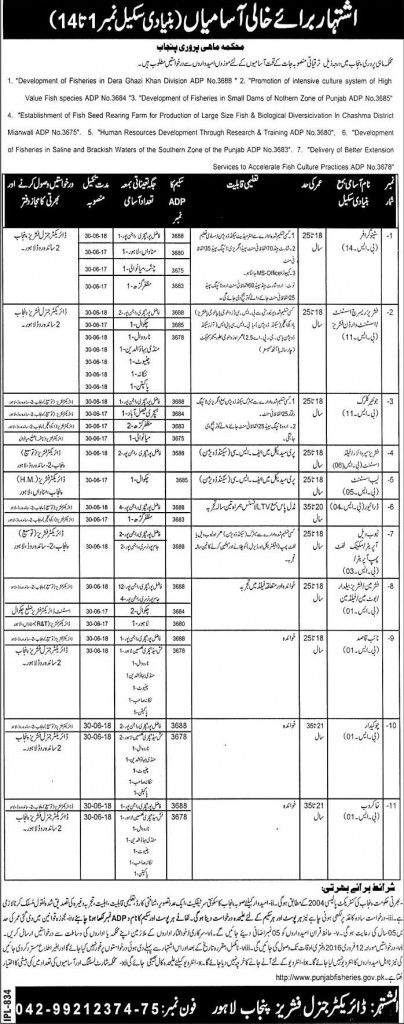 Office Staff Jobs in Department of Fishing Punjab