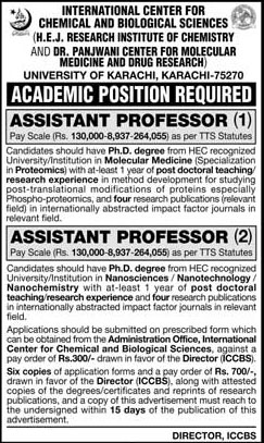 Professor Jobs in International Center for Chemical And Biological Science
