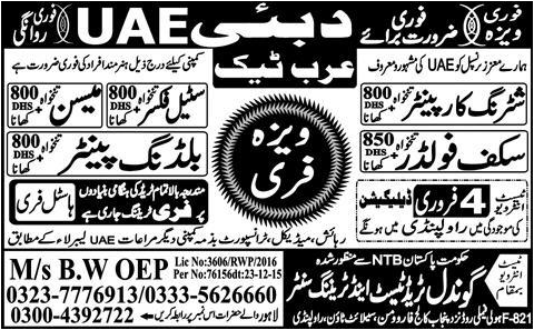 Shuttering Carpenter Steel Fixer Meson and Building Painter Jobs in UAE