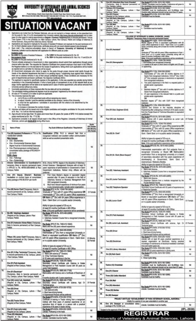Assistant Professor, Director Administrator & Coordinator, Deputy Director, Senior Clerk, and Other Jobs in University of Veterinary and Animal Sciences Lahore