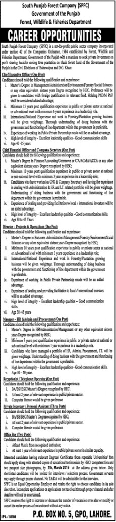 Chief Executive Officer Driector Project & Operation OsePost Jobs in SPFC Government of The Punjab