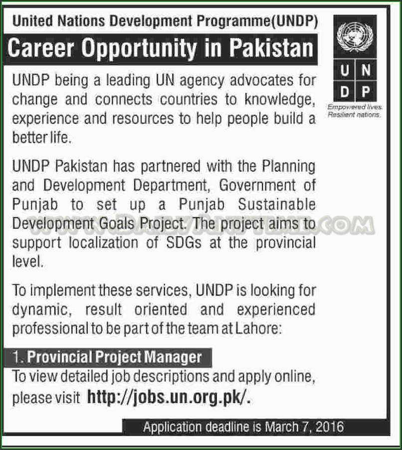 Provincial Project Manager Jobs in United Nation Development Programme (UNDP)