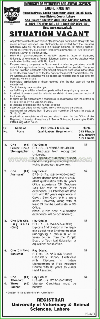 Stenographer, Assistant, Sub Engineer, Field Assistant and Attendant Baildar Jobs in University of Veterinary & Animal Sciences Lahore