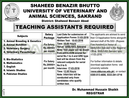 Teaching Assistants Jobs in Shaheed Benzair Bhutto University of Veterinary and Animal Sciences Sakrand