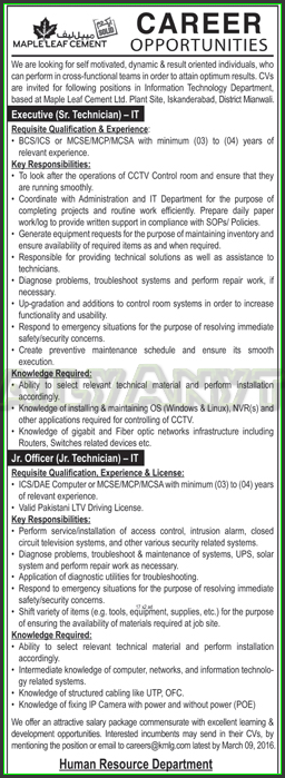 Executive IT and Jr. Officer IT Jobs in Maple Leaf Cement