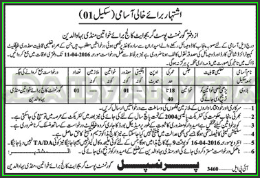 Female Worker Jobs in Government Postgradute College for Women