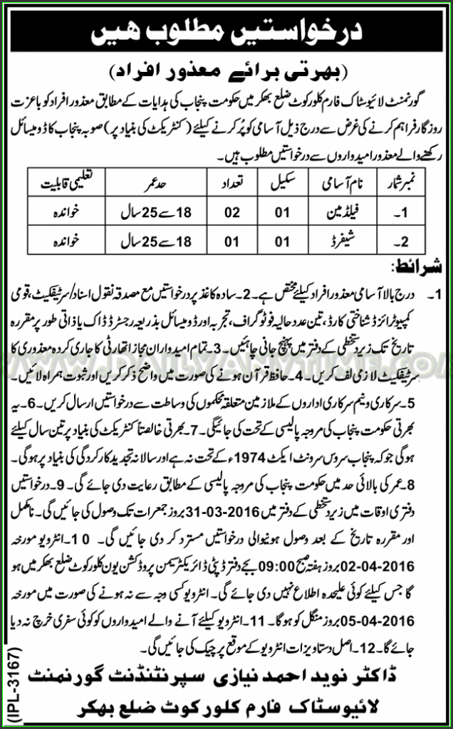 Fieldman and Shifard Jobs in Live Stock Farm Bukkur Government of Punjab
