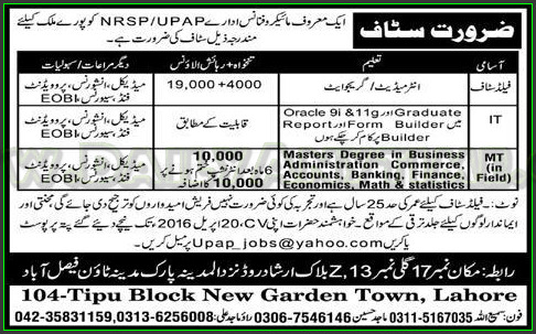 IT, and MT in Field Jobs in Micro Finance NRSP UPAP