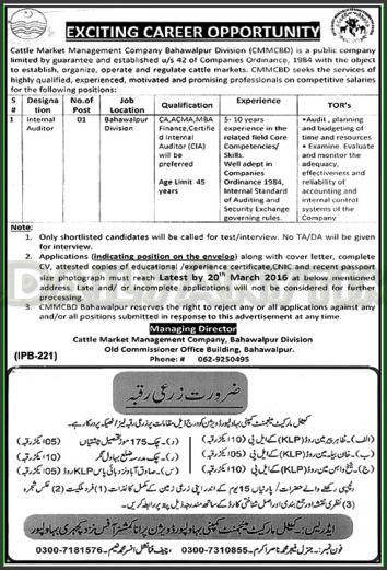 Internal Auditor Jobs in Cattle Market Management Company Bahawalpur
