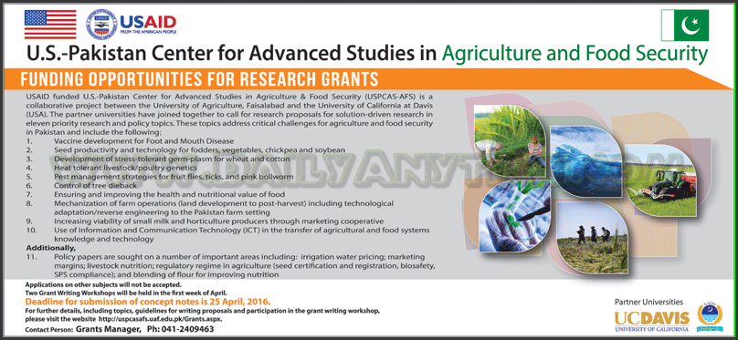 Research Grants Jobs in USAID