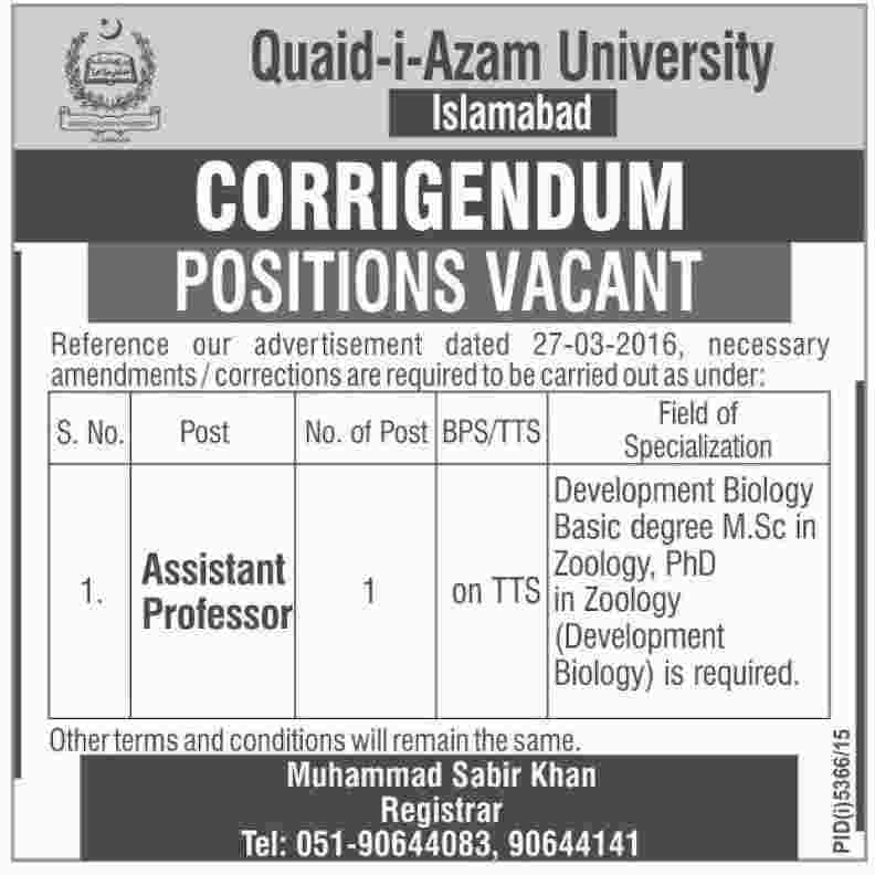 Assistant Professor