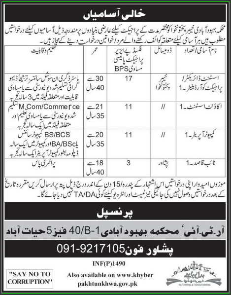 Director Assistant, Account Assistant Jobs