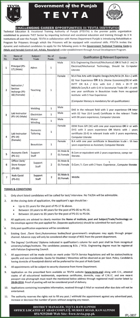Office Staff Jobs
