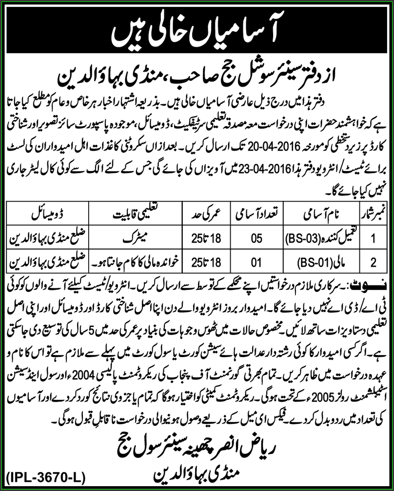 Tameel Kunda, and Gardner Jobs in Office of The Senior Social Judge Mandi Bahodin